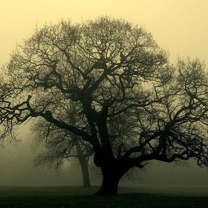 Meet your Posher, Annabelle